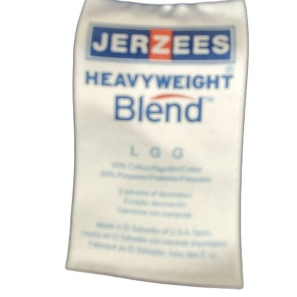 Jerzees BYUI QUIDDITCH Blue Harry Potter School T-Shirt Unisex Adult L  JH929 - Picture 4 of 4